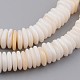 Natural Shell Bead Strands X-BSHE-P021-15-3