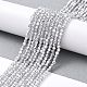 Transparent Electroplate Glass Beads Strands GLAA-H021-01B-HP06-3