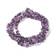 Natural Amethyst Beads Strands F014-1-2