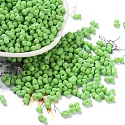 Прорезиненный стеклянный бисер SEED-Z003-01B