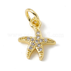 Adornos de latón micropavé de circonia cúbica, con anillo de salto, sin plomo y cadmio, encanto de estrella de mar, dorado, 12x10x2mm, agujero: 3 mm