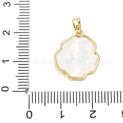 Латунные подвески из акрила KK-D357-15G