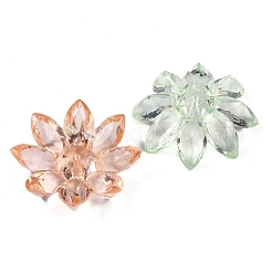 Прозрачные акриловые бусины&nbsp;OACR-H118-02