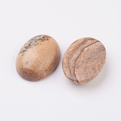 Natürliche Bild Jaspis flach zurück Cabochons&nbsp;G-G741-18x25mm-07