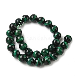 Природных тигровый глаз бисер нитей&nbsp;G-G448-14mm-18A