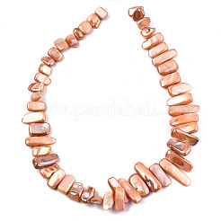 Naturali di acqua dolce perline shell fili&nbsp;SHEL-N026-123D