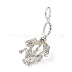 Anhänger aus Legierungsperlenkäfig&nbsp;LS-FIND-M012-01P-P