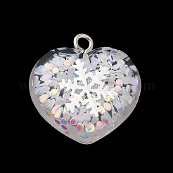 Акриловые кулон OACR-H030-01B