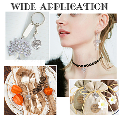 40 pièces pendentifs en alliage de style tibétain&nbsp;FIND-PH0002-60