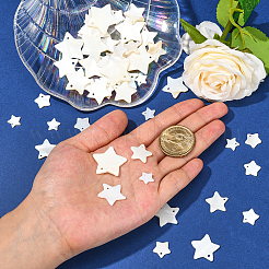 50шт 5 стильные подвески из пресноводных раковин SHEL-CJ0001-22