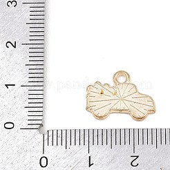 Подвески из сплава с эмалью ко дню святого валентина&nbsp;ENAM-I084-01KCG-01