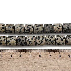 Природные яшмы далматин бисер нитей G-G275-D18-10x10mm