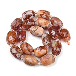 Природные пожары треск агат бисер нитей&nbsp;G-K393-G05-13x18