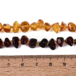 グラデーションカラーの天然琥珀ビーズ連売り  チップ  シードビーズで  5~11x5~8x3.5~7.5mm  穴：0.6~0.7mm  約58~60個/連  13.78~14.37インチ（35~36.5cm）&nbsp;G-N371-11A-01