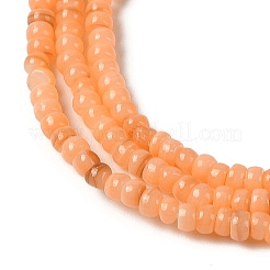 Eau douce naturelle de coquillage perles brins&nbsp;SHEL-P017-01B-05