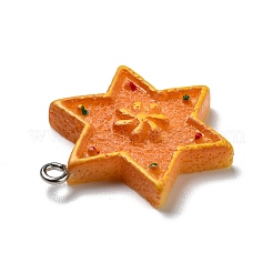 Pendentifs en résine opaque&nbsp;RESI-D055-133P