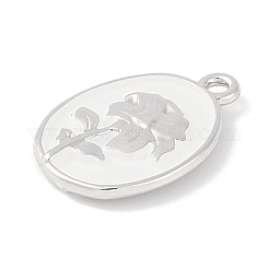 Подвески из сплава PALLOY-F018-14P-02