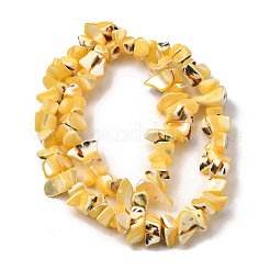 Нити бусин из натуральных трохоидных/трохус ракушек&nbsp;SHEL-B003-02H