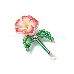 Подвески из семенного стекла и полимерной глины PALLOY-MZ00676