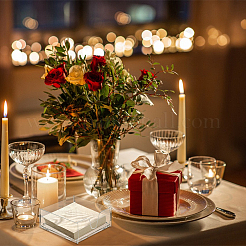 2 комплект 2-х стилевых собранных акриловых подставок для салфеток ODIS-PH0001-86