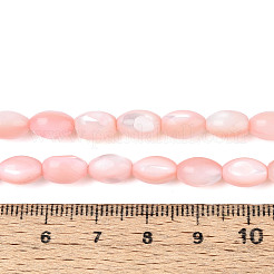 Нити бусин из натуральной ракушки трохус SHEL-K006-19-01F