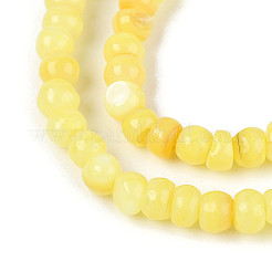 Натуральные пресноводные окрашенные бусы из ракушек&nbsp;SHEL-T020-29A-09