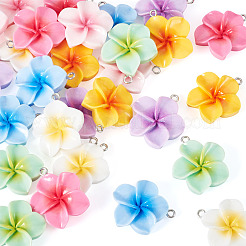 28pcs 7 couleurs pendentifs en résine opaque&nbsp;RESI-TA0005-19