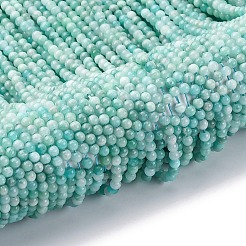 Природных амазонит бисер нитей&nbsp;LS-G-RM2025-B03-3.5mm
