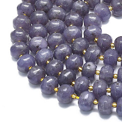 Натуральный лепидолит / пурпурный слюдяный камень бисер пряди G-P573-B05-01