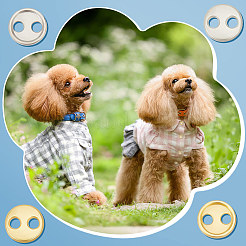 200 шт. BUTT-FG0001-19