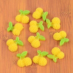 Кабошоны из смолы&nbsp;CRES-B3049-M