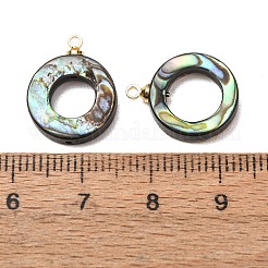 Ciondoli in conchiglia di abalone naturale&nbsp;SH-CJC0AC7-01G-G