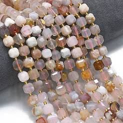 Натуральные вишневые агатовые бусины G-K389-A38-01