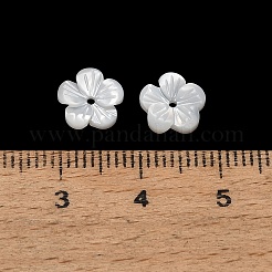 Natürlichen weißen Muschelperlen&nbsp;SH-CBA93AD-07C