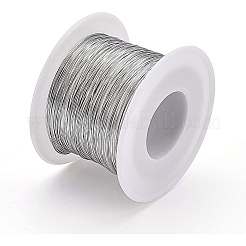 Fil d'acier inoxydable 304&nbsp;TWIR-WH0002-05-0.3mm