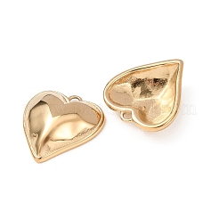 Pendentifs en acier inoxydable 304 pour la Saint-Valentin&nbsp;STAS-C184-09G