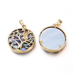 Подвески из натурального ушка / ракушки&nbsp;BSHE-I014-G