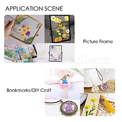 Fleurs séchées pressées&nbsp;X-DIY-H153-A02