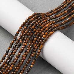 Природные тигр железа бисер нитей G-RM250104-B5