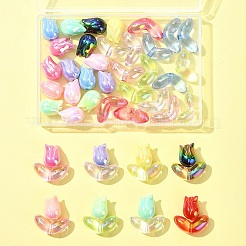 48 шт. 2 стиля акриловых бусин с УФ-покрытием SACR-FS0001-37