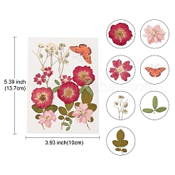 Прессованные сушеные цветы DIY-YWC0001-98