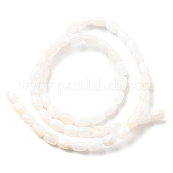 Нити бусин из натуральных пресноводных ракушек SHEL-R129-02