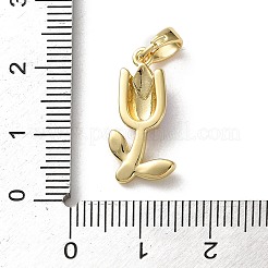 Латунь эмаль подвески&nbsp;LS-KK-P320-06G-02