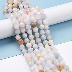 Природные морганит нитей бисера G-K323-12