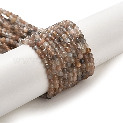 Нити из натуральных бусин из нескольких лунных камней G-B074-B08-02