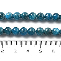 Природного апатита нитей бисера G-O186-G01-01