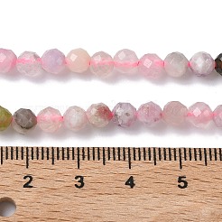 Природные морганит нитей бисера&nbsp;G-L651-C06-4mm