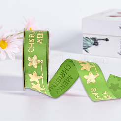 Полиэфирная лента&nbsp;SRIB-P018-B01