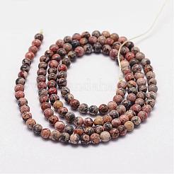 Fili di perline jasper naturali di pelle di leopardo&nbsp;G-N0187-01-3mm