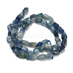 Natürliche kyanit / cyanit / disthen perlen stränge&nbsp;G-NH0072-D03-01